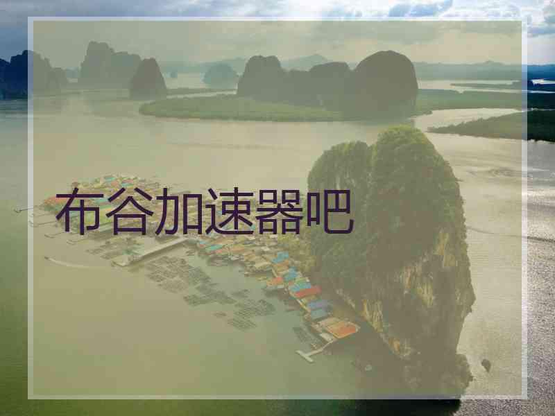 布谷加速器吧
