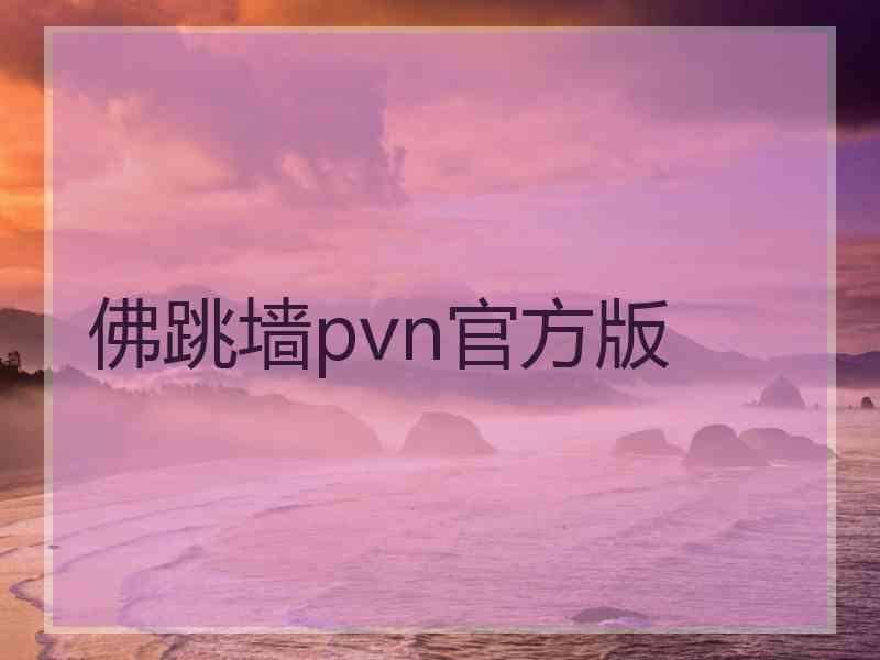 佛跳墙pvn官方版