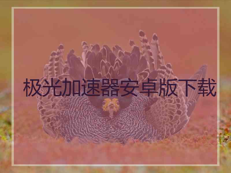 极光加速器安卓版下载