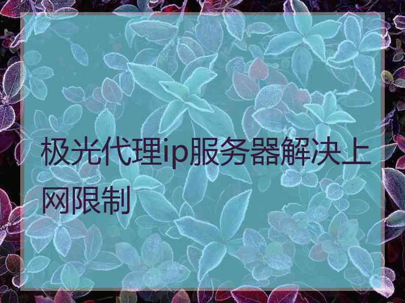 极光代理ip服务器解决上网限制