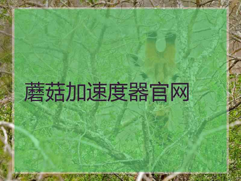 蘑菇加速度器官网
