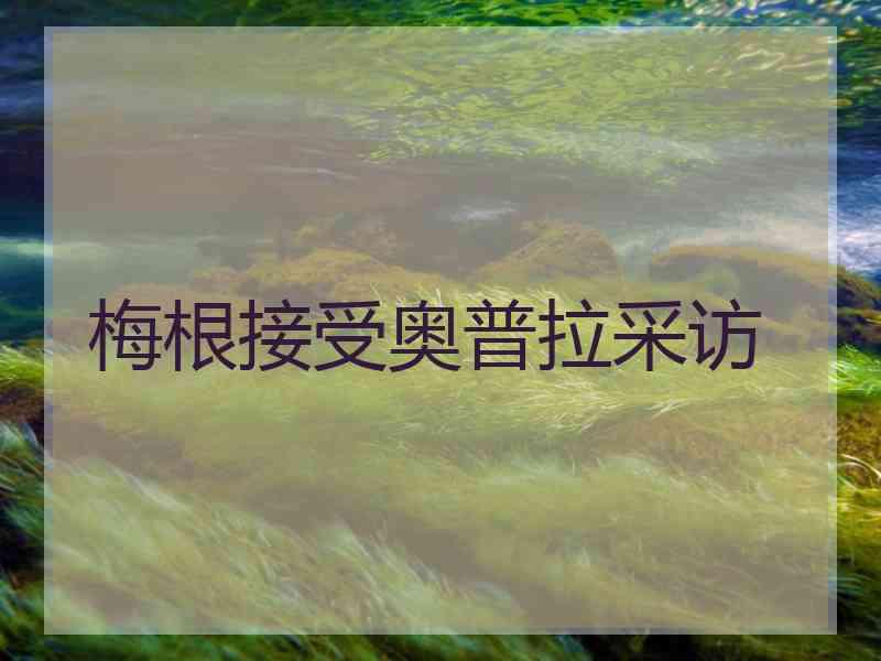 梅根接受奥普拉采访
