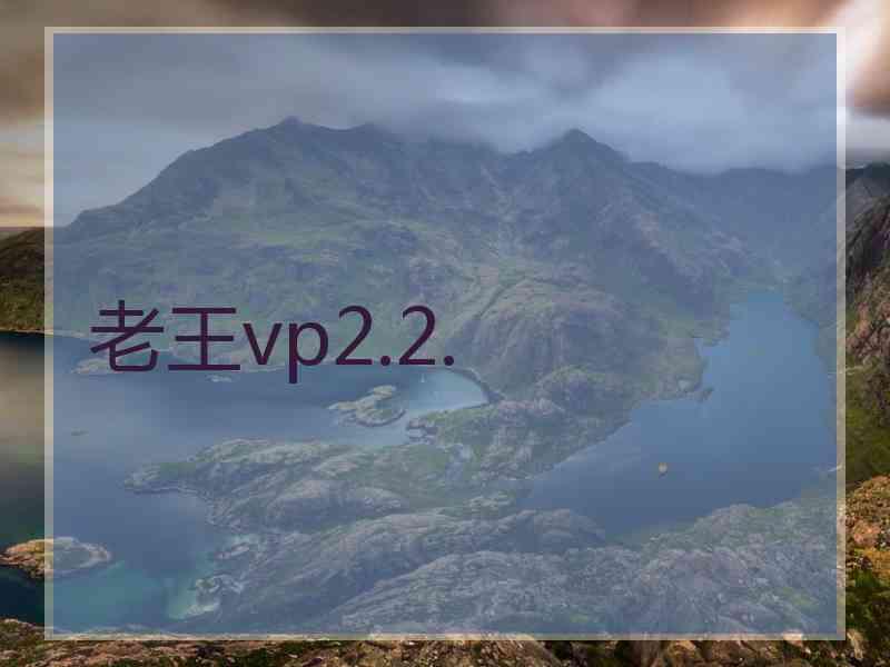 老王vp2.2.