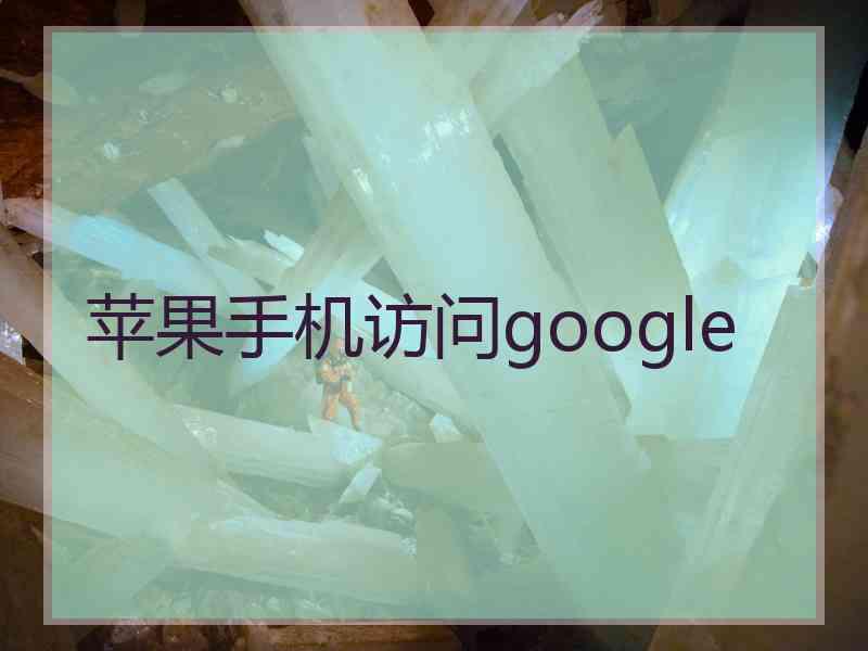 苹果手机访问google
