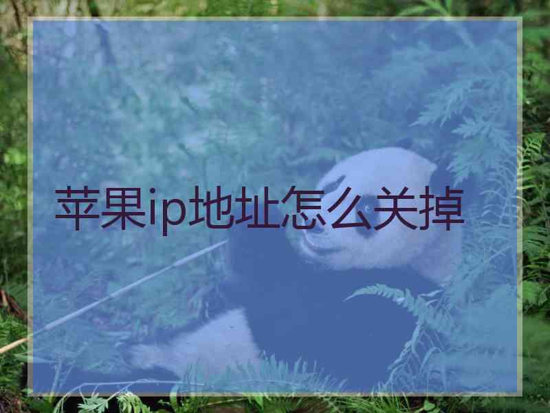 苹果ip地址怎么关掉
