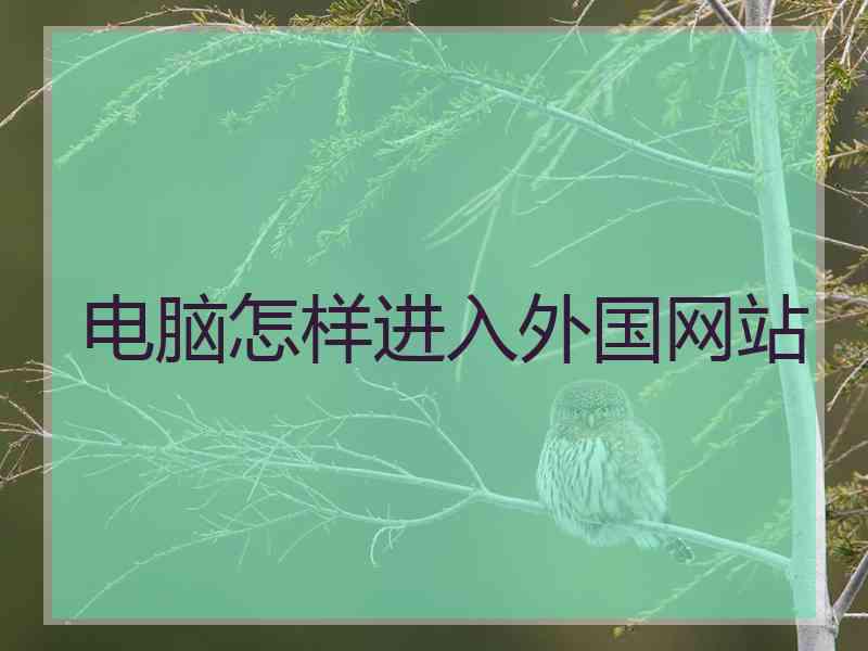 电脑怎样进入外国网站