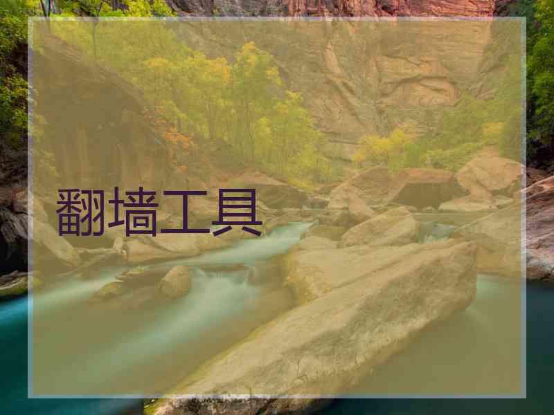 翻墙工具