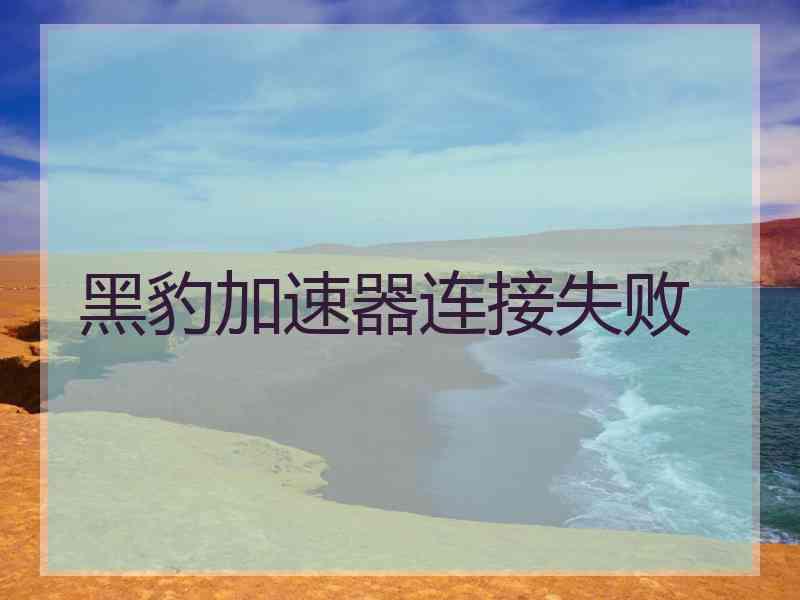 黑豹加速器连接失败