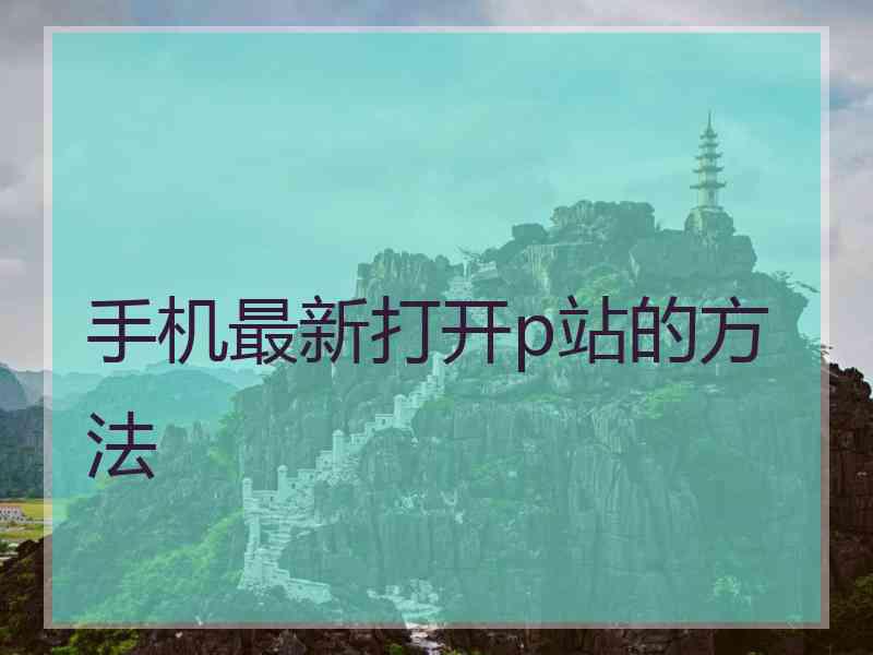 手机最新打开p站的方法