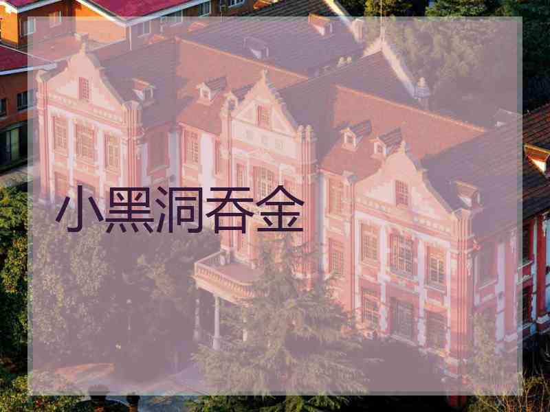 小黑洞吞金