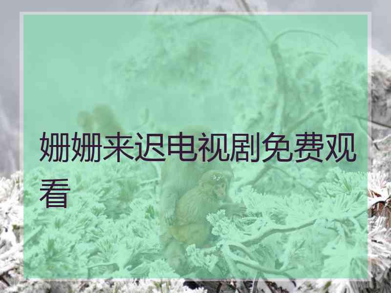姗姗来迟电视剧免费观看