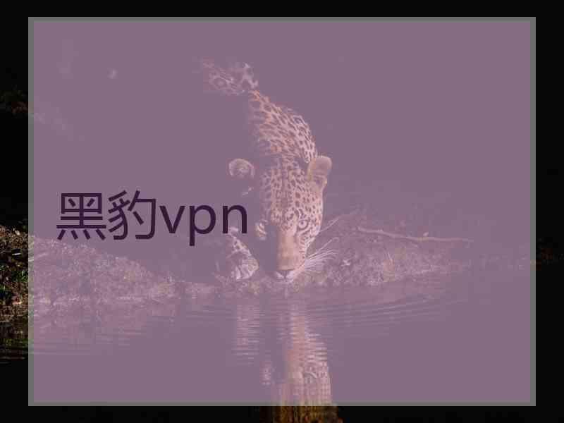 黑豹vpn