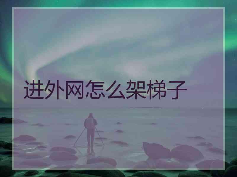 进外网怎么架梯子