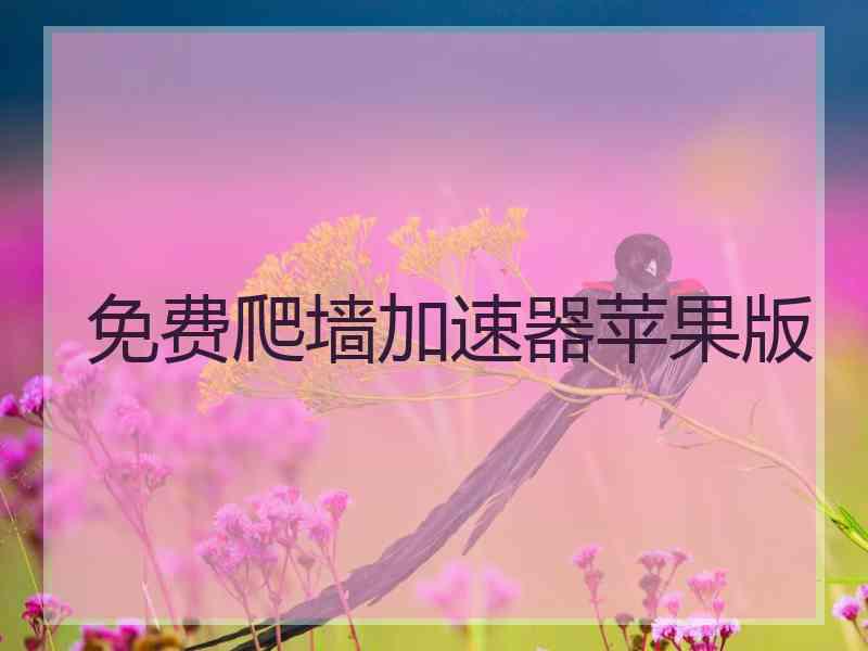 免费爬墙加速器苹果版