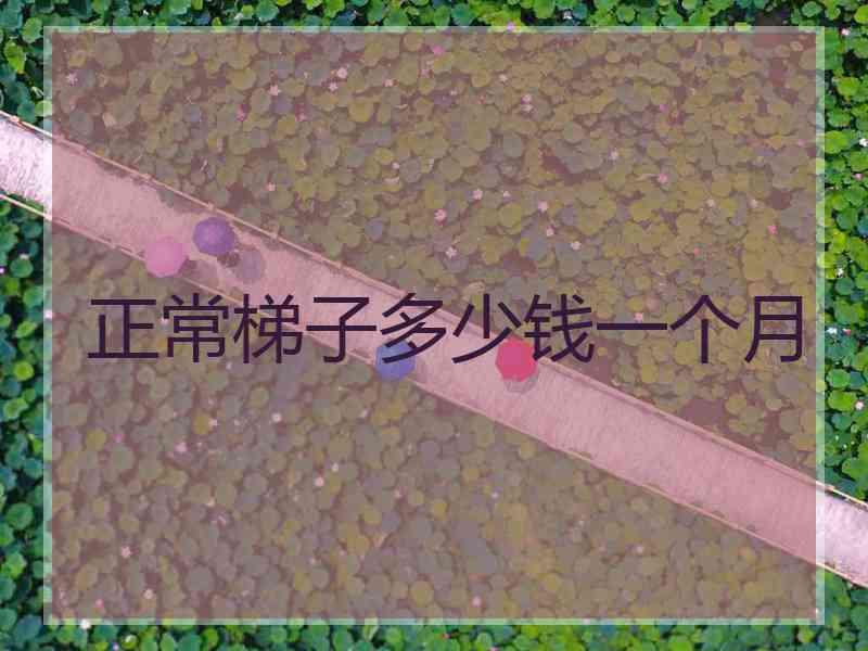 正常梯子多少钱一个月