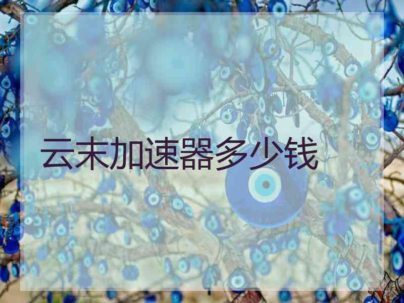 云末加速器多少钱