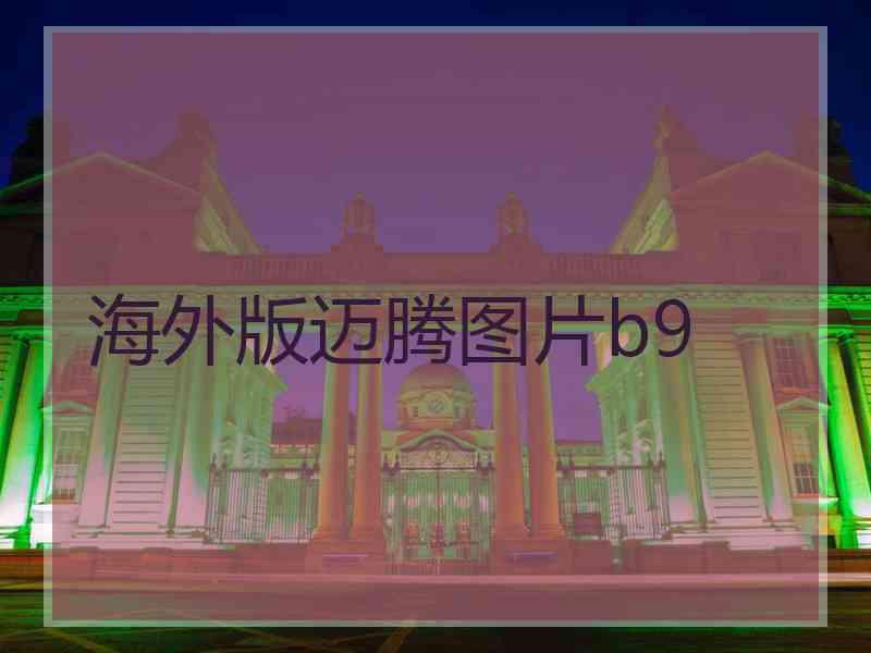 海外版迈腾图片b9