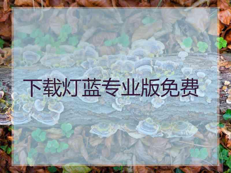 下载灯蓝专业版免费