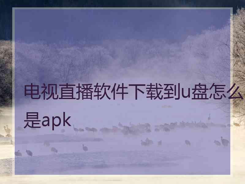 电视直播软件下载到u盘怎么是apk
