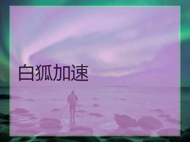 白狐加速