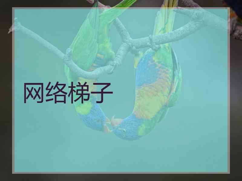 网络梯子