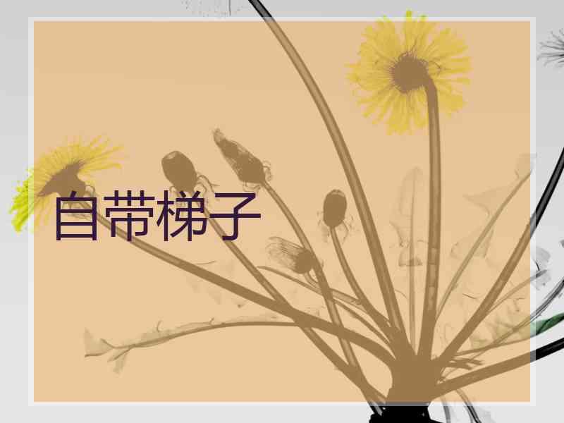 自带梯子