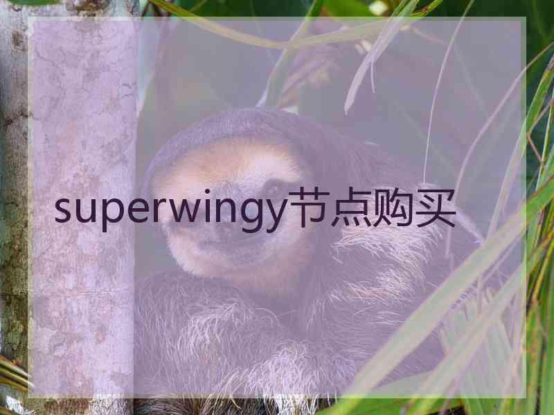 superwingy节点购买