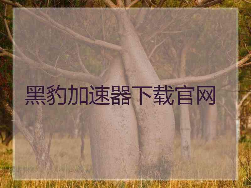 黑豹加速器下载官网