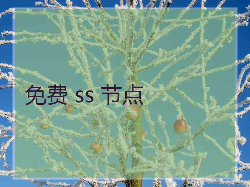 免费 ss 节点