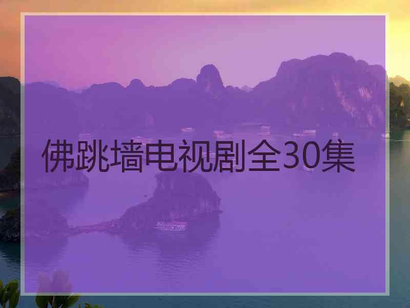 佛跳墙电视剧全30集
