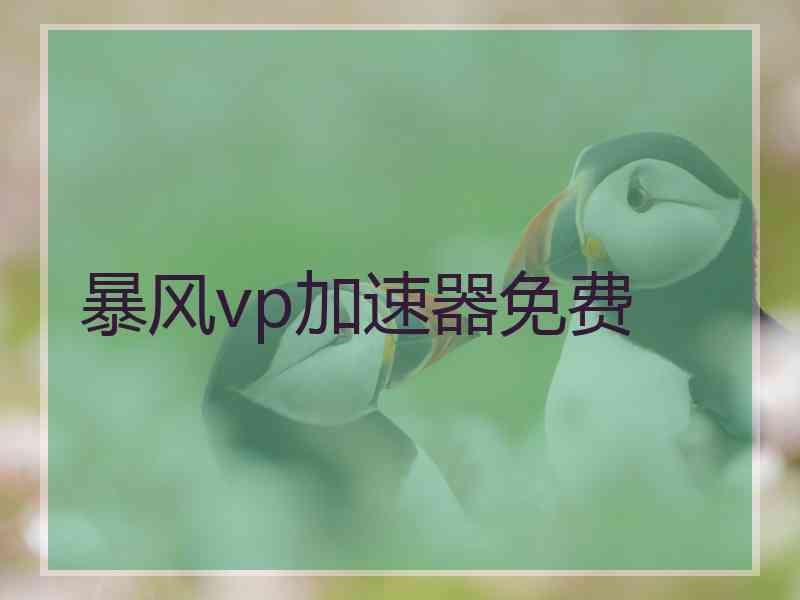 暴风vp加速器免费