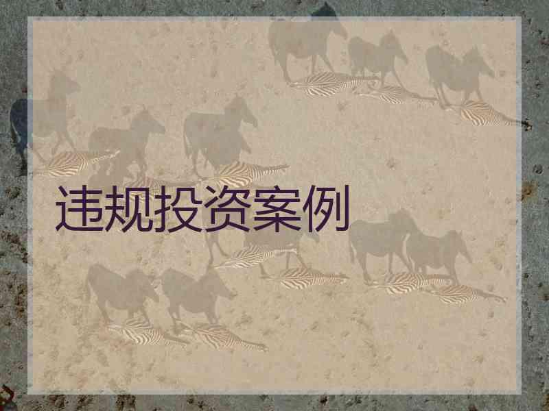 违规投资案例