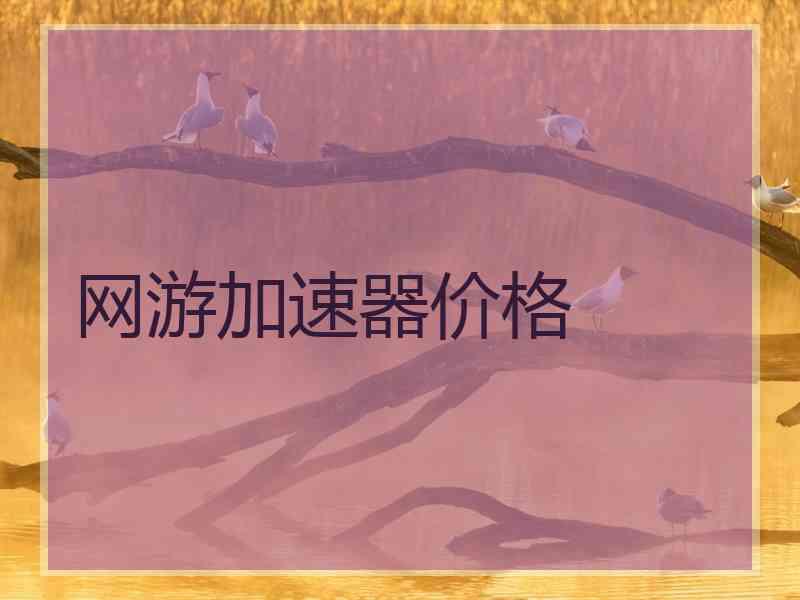 网游加速器价格