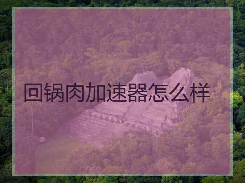 回锅肉加速器怎么样