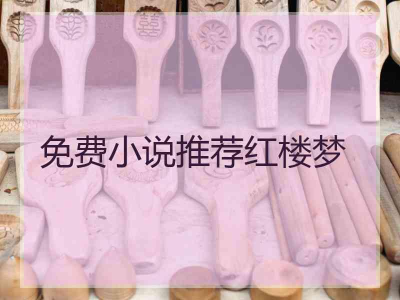 免费小说推荐红楼梦