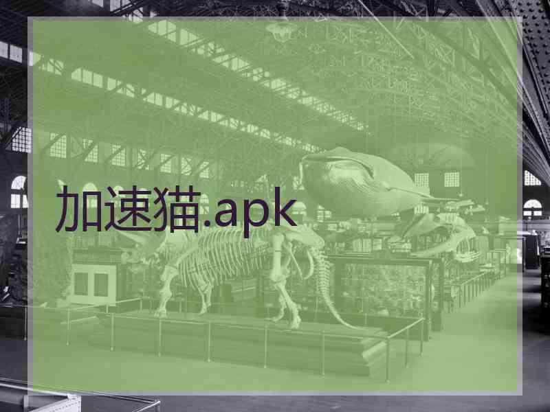 加速猫.apk