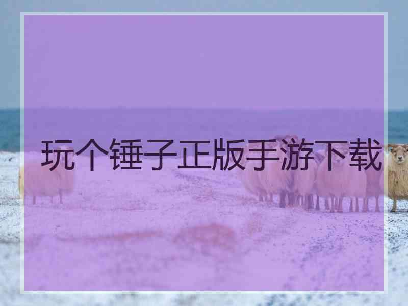 玩个锤子正版手游下载
