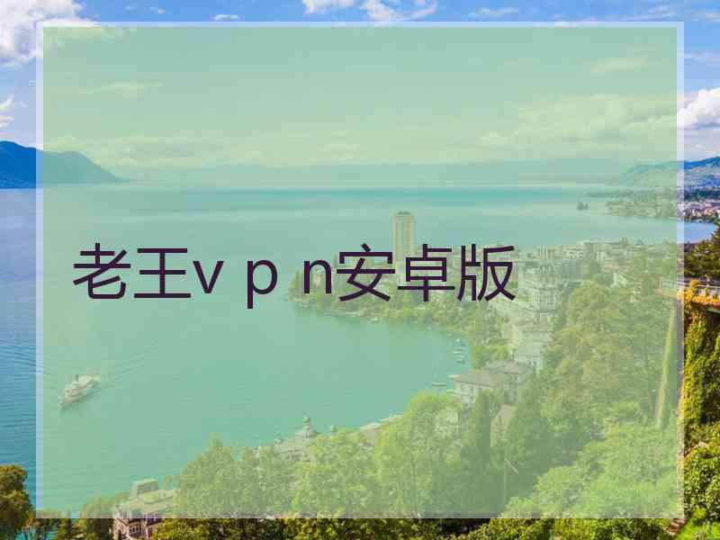 老王v p n安卓版