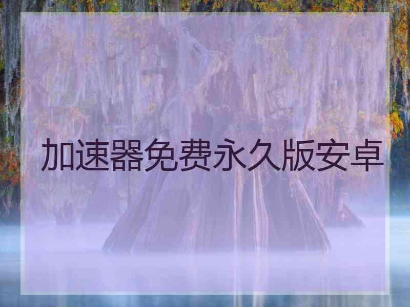 加速器免费永久版安卓