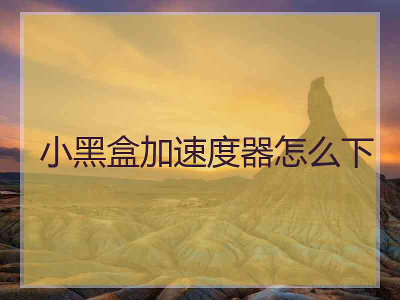 小黑盒加速度器怎么下