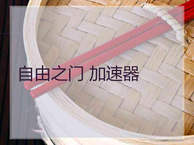自由之门 加速器