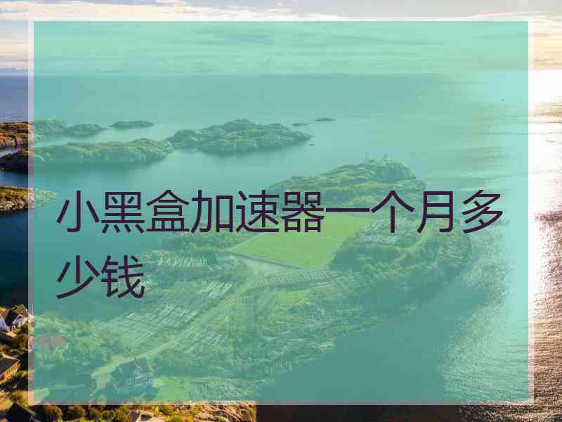 小黑盒加速器一个月多少钱
