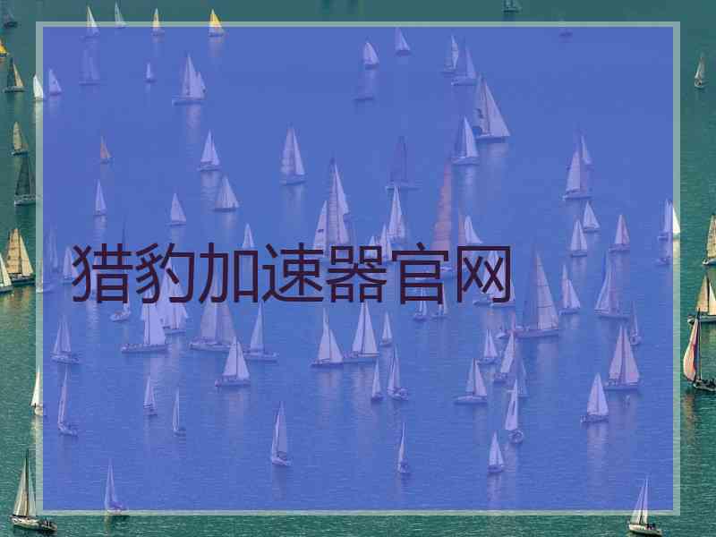 猎豹加速器官网