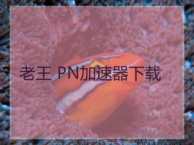 老王 PN加速器下载