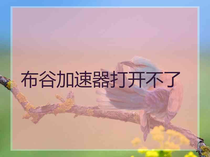 布谷加速器打开不了