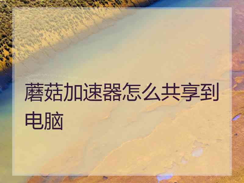 蘑菇加速器怎么共享到电脑