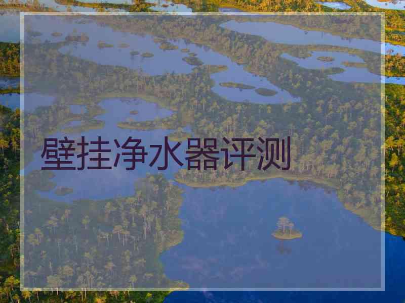 壁挂净水器评测