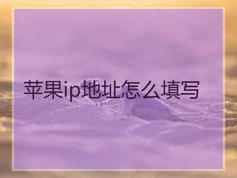 苹果ip地址怎么填写