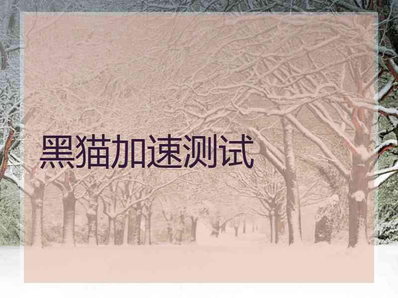 黑猫加速测试