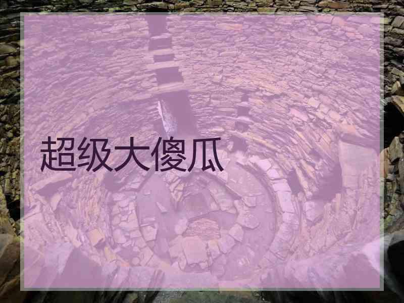 超级大傻瓜
